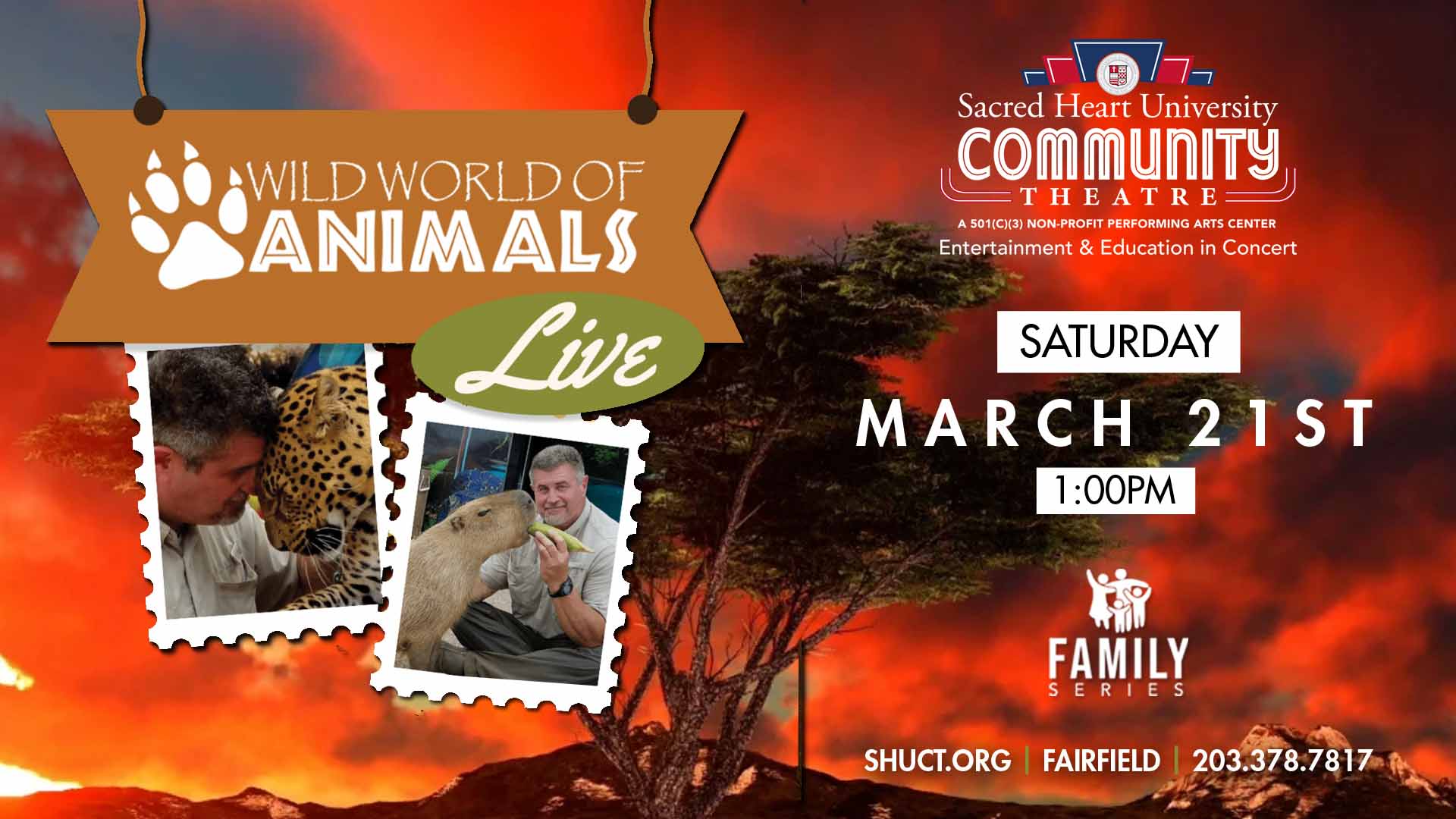 Wild World of Animals LIVE